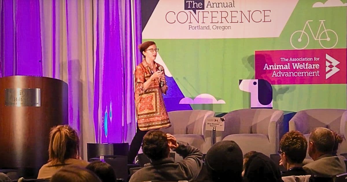 speaking-presenting-at-work-related-conference